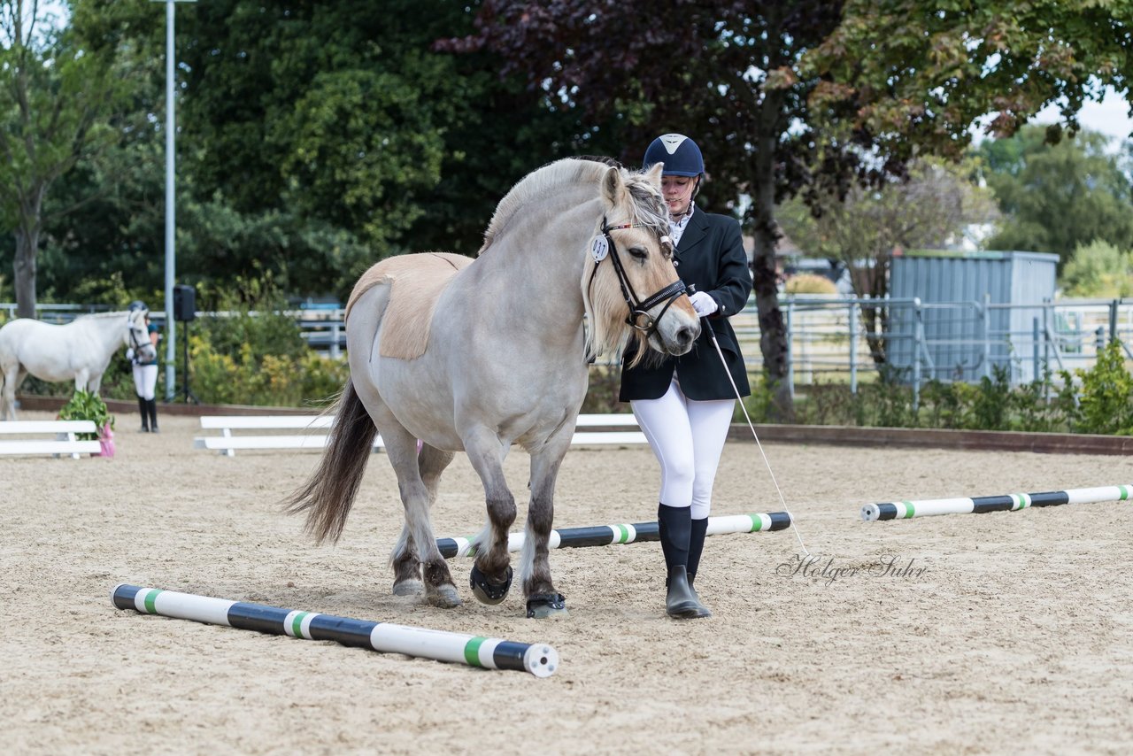 Bild 23 - Pony Akademie Turnier